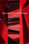 Cover of Hyacinths from the Wreckage