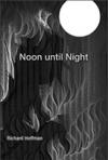 Cover of Noon until Night