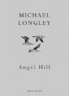 Cover of Angel Hill