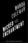 Cover of Wicked Enchantment