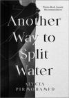 Cover of Another Way to Split Water