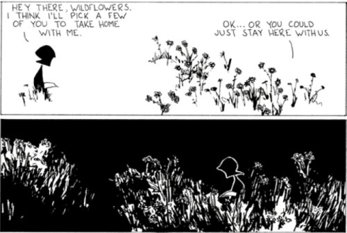 Buttercup Festival cartoon which appeared in PNR216